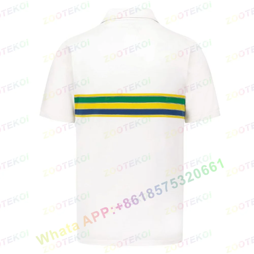 Camisa Polo de Moda Ayrton Sen - Summer Clothing Brands Men avaliação e preço